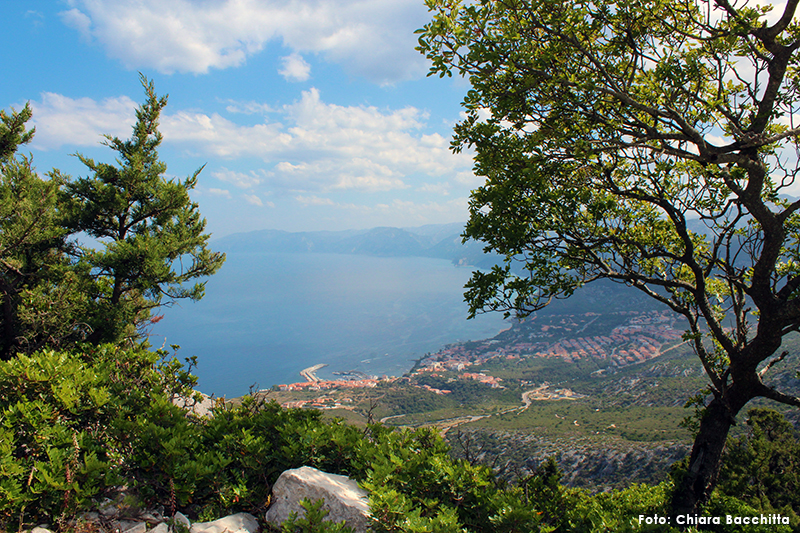 Cala Gonone - Foto: Chiara Bacchitta