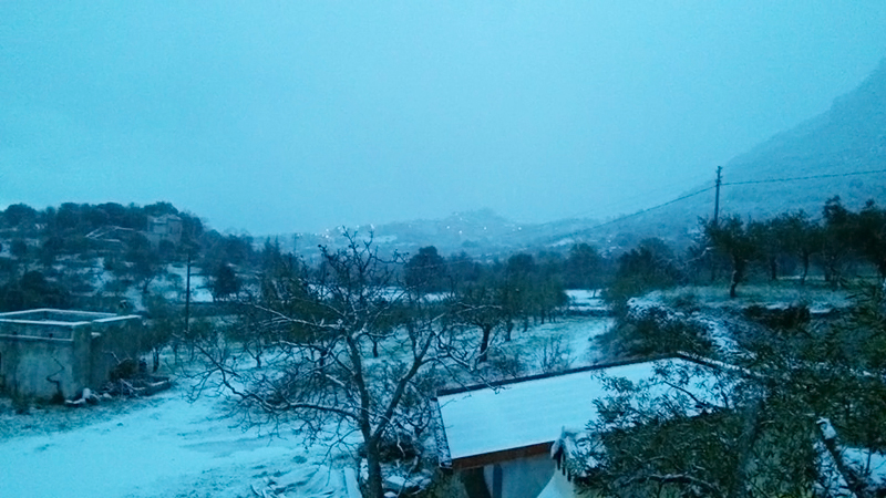 Dorgali, 30 dicembre 2014 - Foto: Lydia Bacchitta