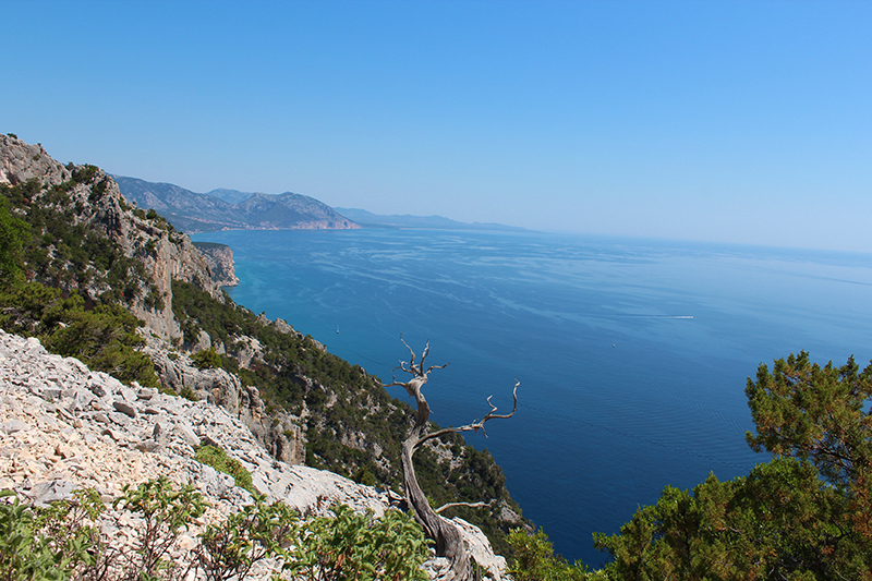 Golfo di Orosei - Foto: Chiara Bacchitta