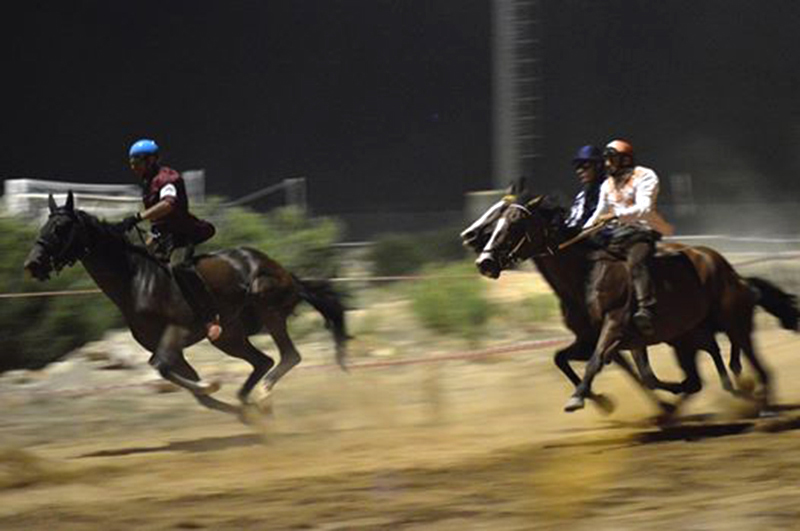 Palio Del Mare 2014 - Foto: Valentina Spanu