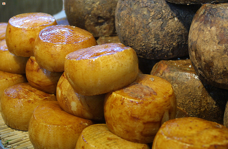 Pecorino - Foto: Messina Elisabetta