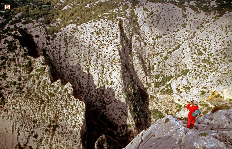 Supramonte di Dorgali, gola di Gorroppu - Foto: Ruiu Domenico