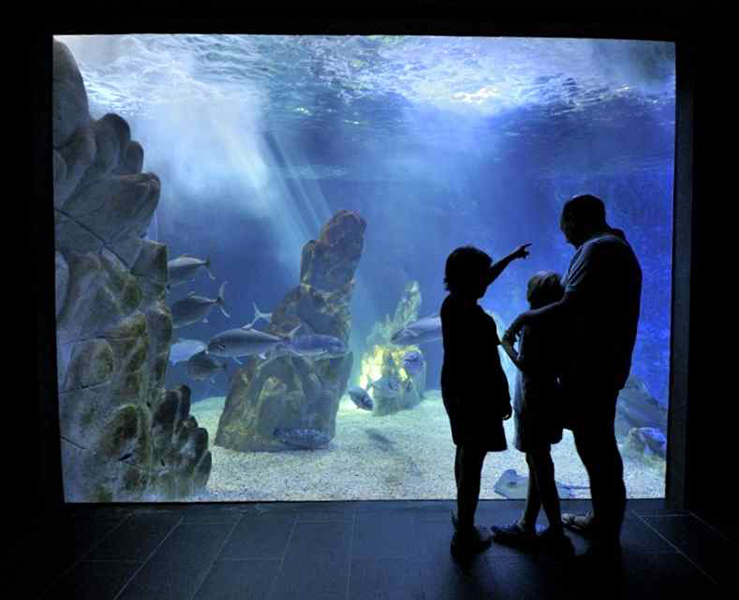 Foto: Acquario di Cala Gonone