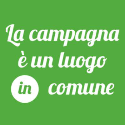 Campagna-in-Comune.jpg