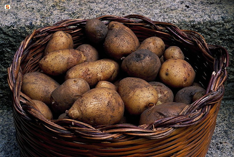 Cesto di patate - Foto: Brotzu Renato da sardegnadigitallibrary.it