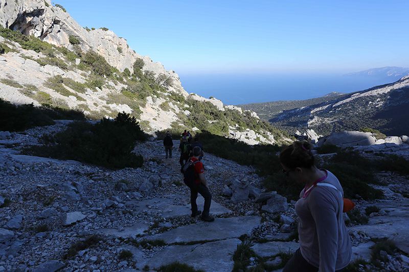 Foto: Protezione Civile Dorgali