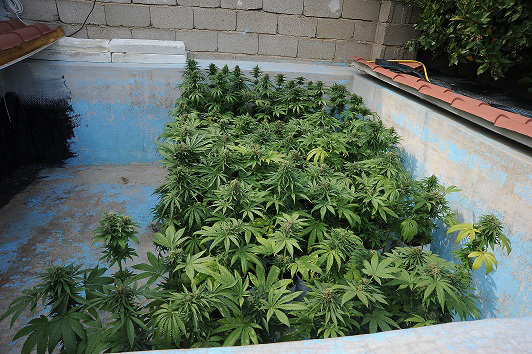 Foto: Questura di Nuoro