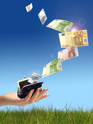 soldi-che-volano.jpg