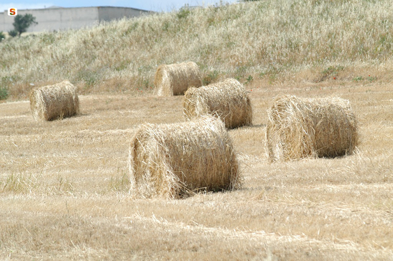 balle-foraggio-agricoltura.jpg