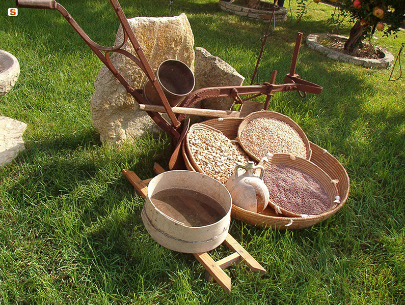 Esposizione di legumi - Autore: Comune di Las Plassas - www.sardegnadigitallibrary.it