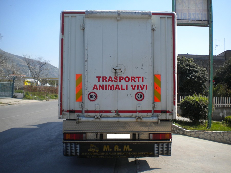TRASPORTO-ANIMALI-VIVI.jpg